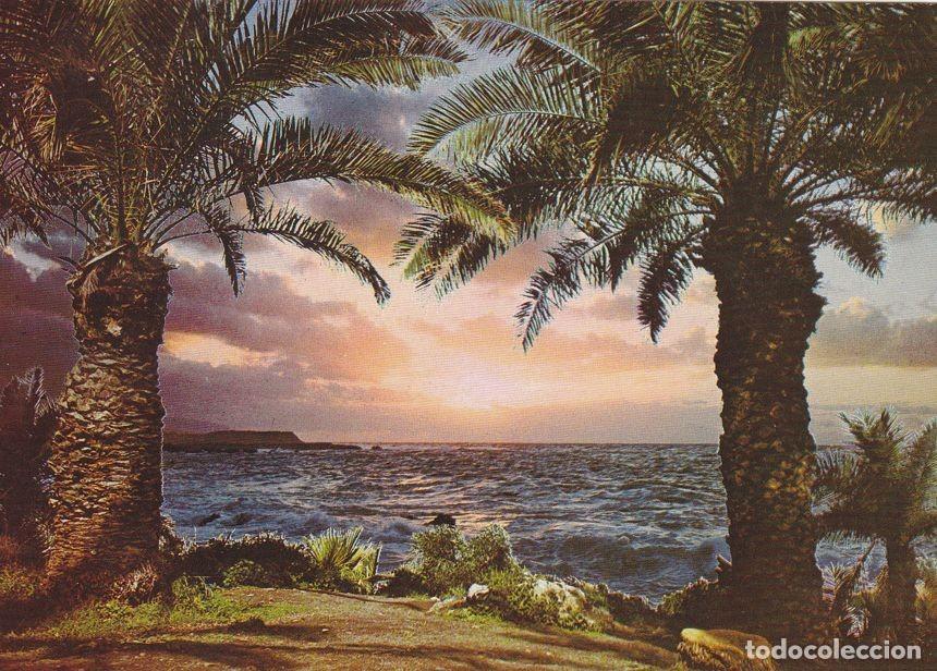 Postais: Postal 60284: Puerto de la Cruz al caer el sol (Tenerife) - Varios
