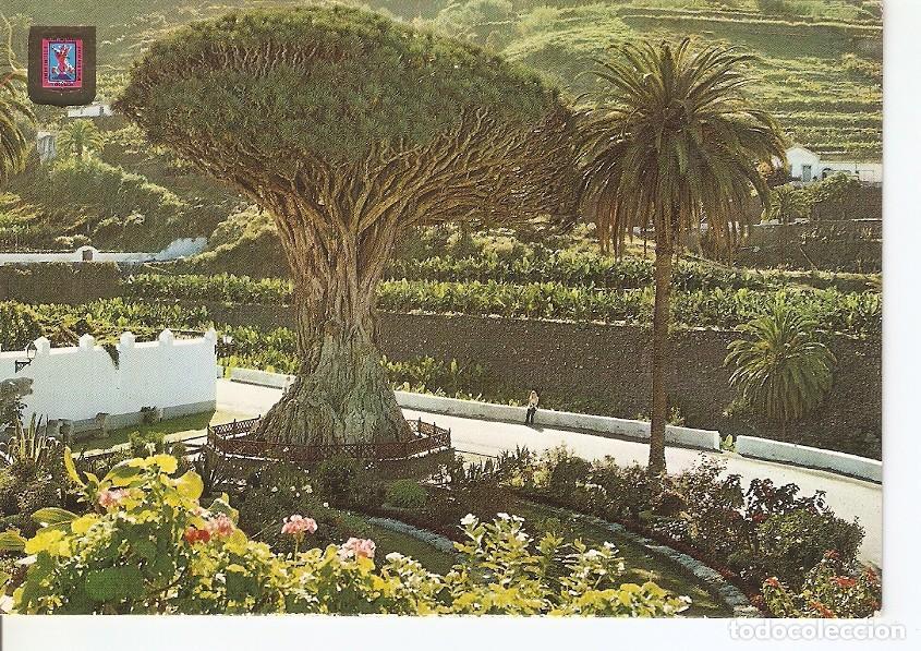 Cartoline: Postal 044624 : Icod de los Vinos (Tenerife). Drago Milenario - Varios