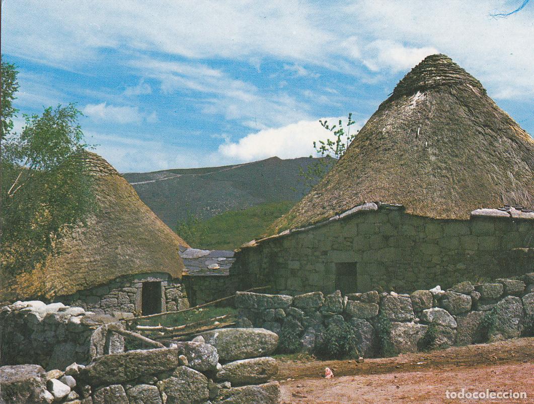 Cartoline: Postal 61587 : Picos de Ancares. Parque Natural de Galicia Cervantes (Lugo) - Varios