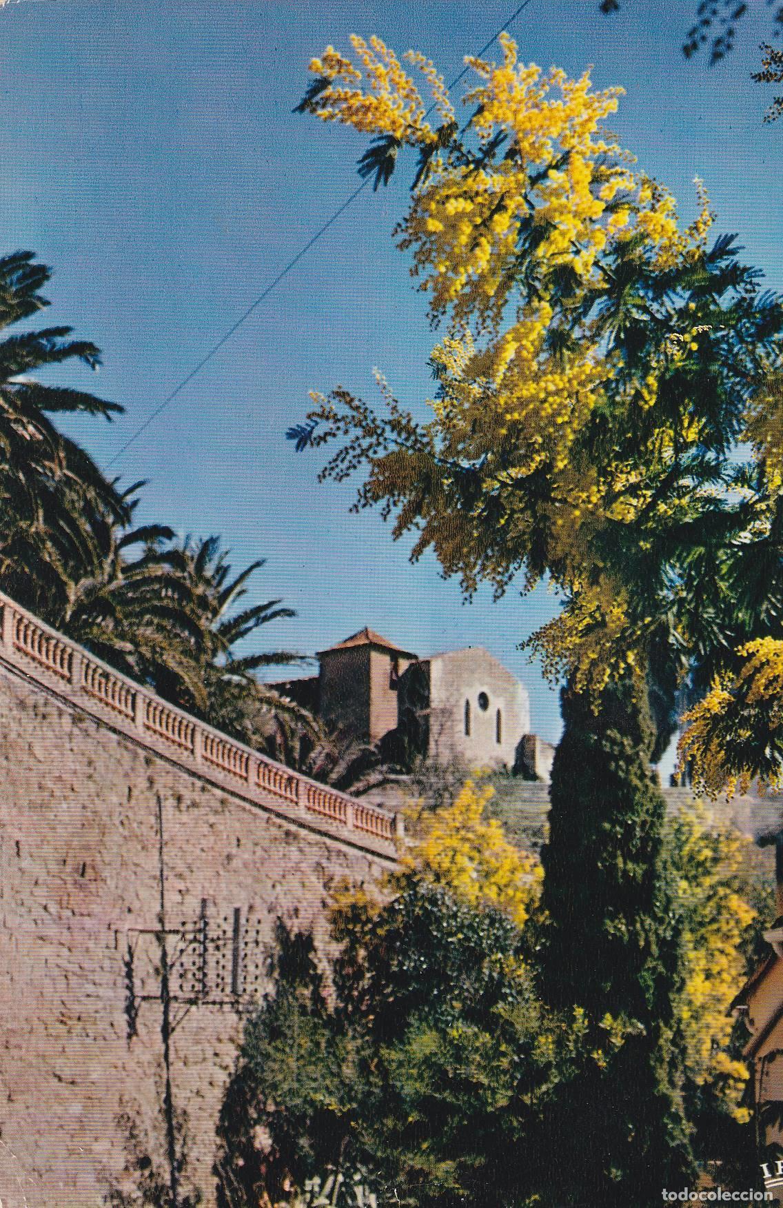 Postkarten: POSTAL B8392: NIZA: VISTA DE LAS MIMOSAS - Varios