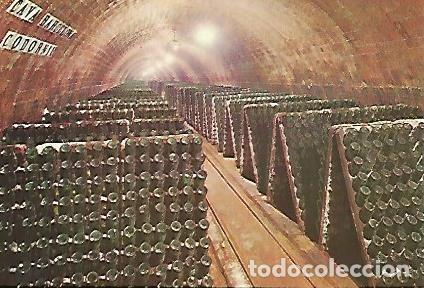 Postales: POSTAL A0032: Cava Barcelona de Codorniu - Varios