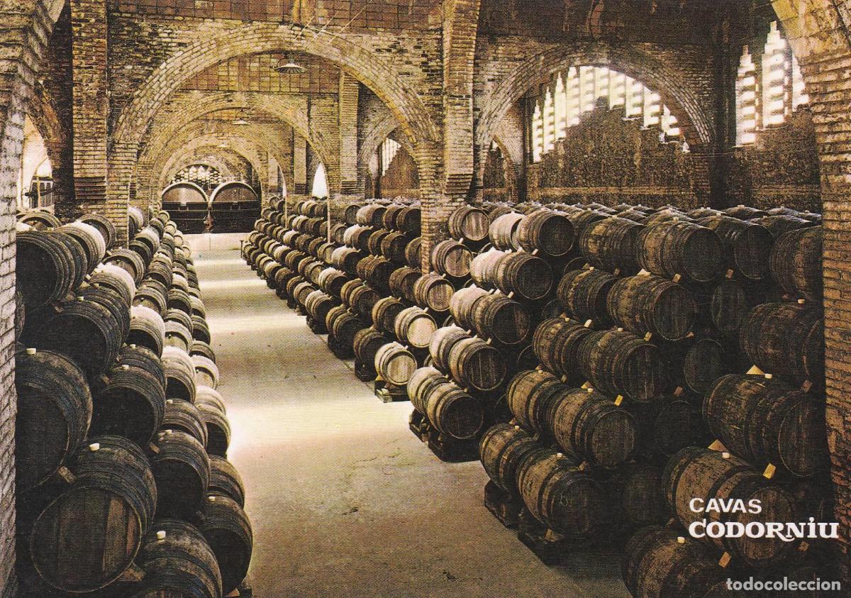Postales: POSTAL B8666: CAVAS CODORNIU: UNA BODEGA - Varios