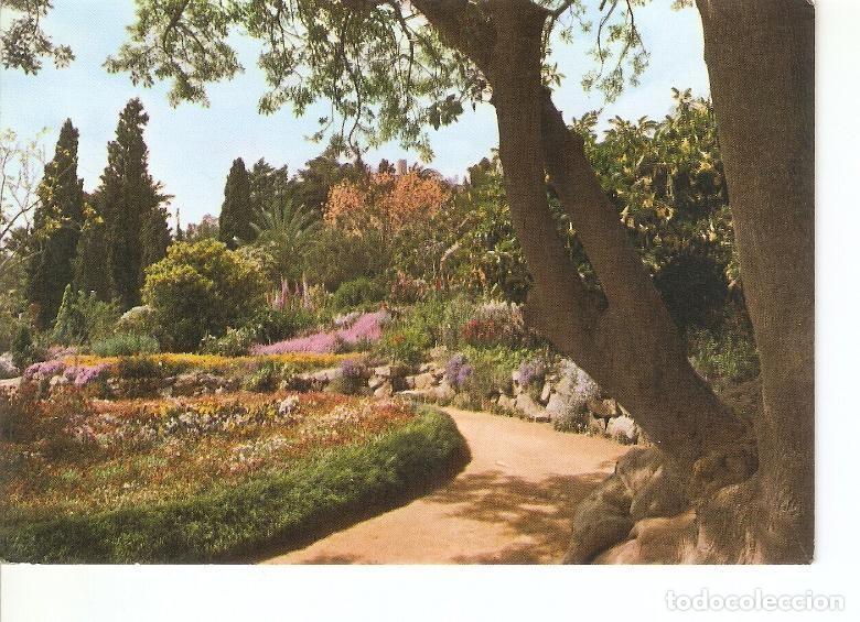 Cartes Postales: Postal 022316 : Jardin Botanico Mar i Murtra, explanada Mendel, Blanes - Costa Brava - Varios