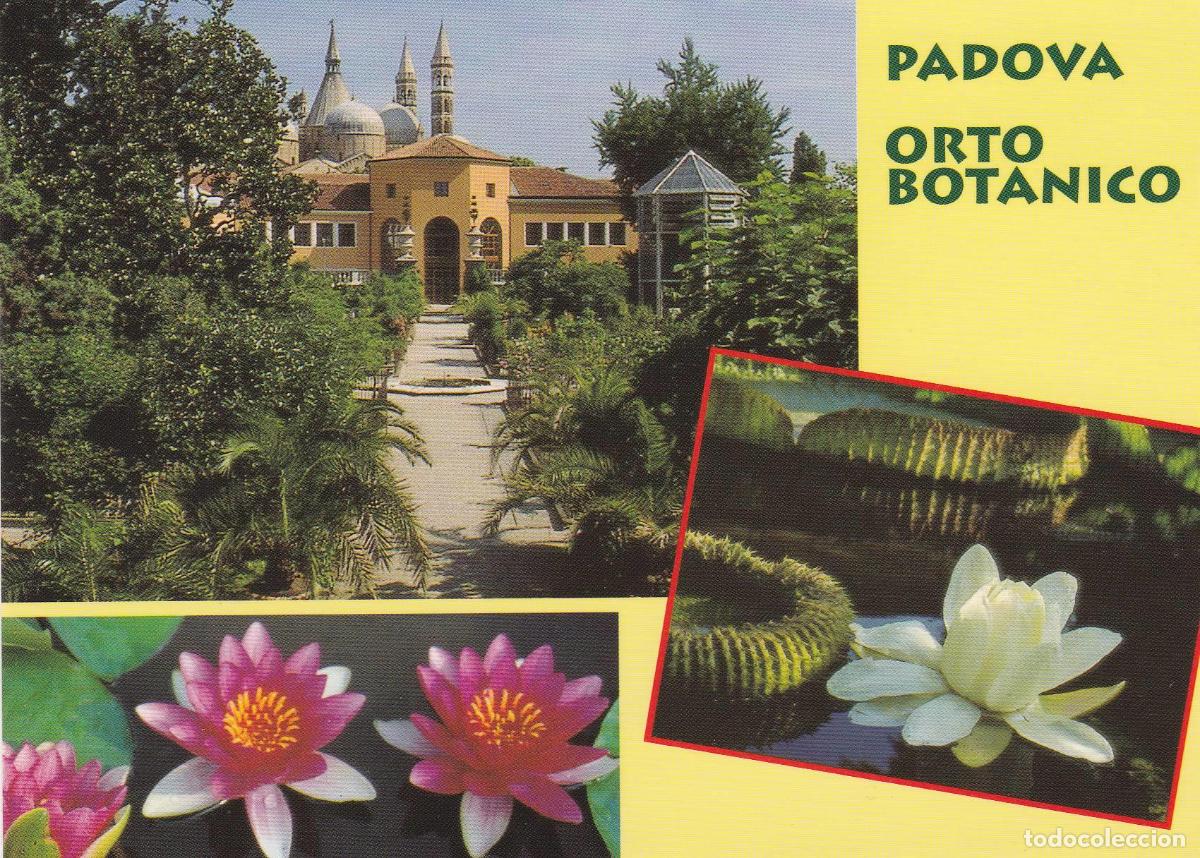Postales: POSTAL B9067: PADOVA: PARQUE BOTANICO - Varios - Foto 1