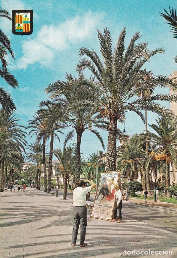 Postkarten: POSTAL B9107: MALLORCA: PASEO SAGRERA - Varios