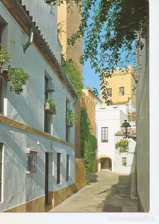 Cartoline: Postal 050280 : Sevilla. Calle de la Juderia (Barrio de Santa Cruz) - Varios