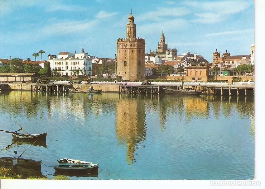 Cartoline: Postal 045509 : Sevilla. Torre del Oro - Varios