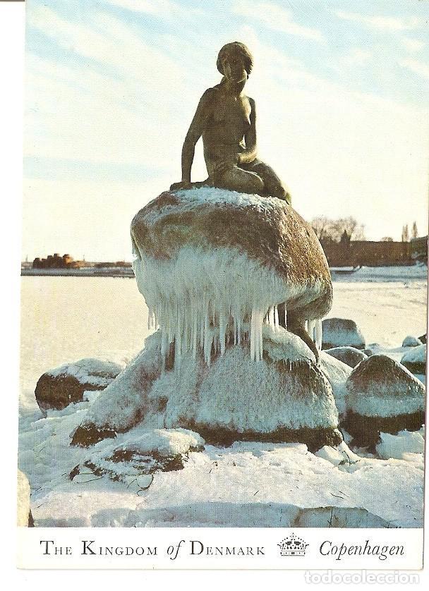 Postcards: Postal 046003 : The Kingdom of Denmark. Copenhagen. The Little Mermaid at Langeline - Varios
