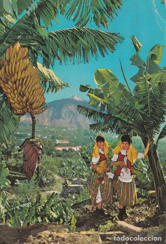 Cartoline: POSTAL B9390: TENERIFE: PLATAOS Y FLORES - Varios