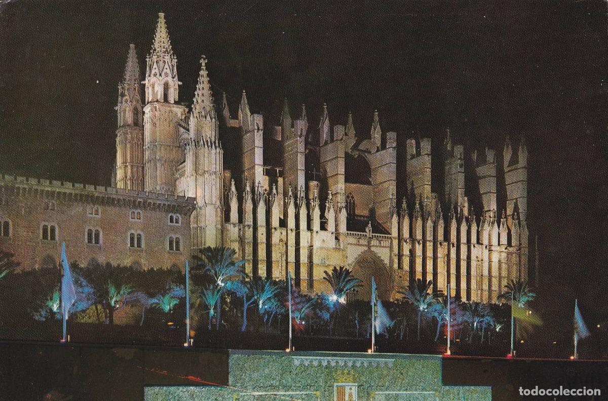 Cartoline: POSTAL B9441: MALLORCA: CATEDRAL VISTA NOCTURNA - Varios