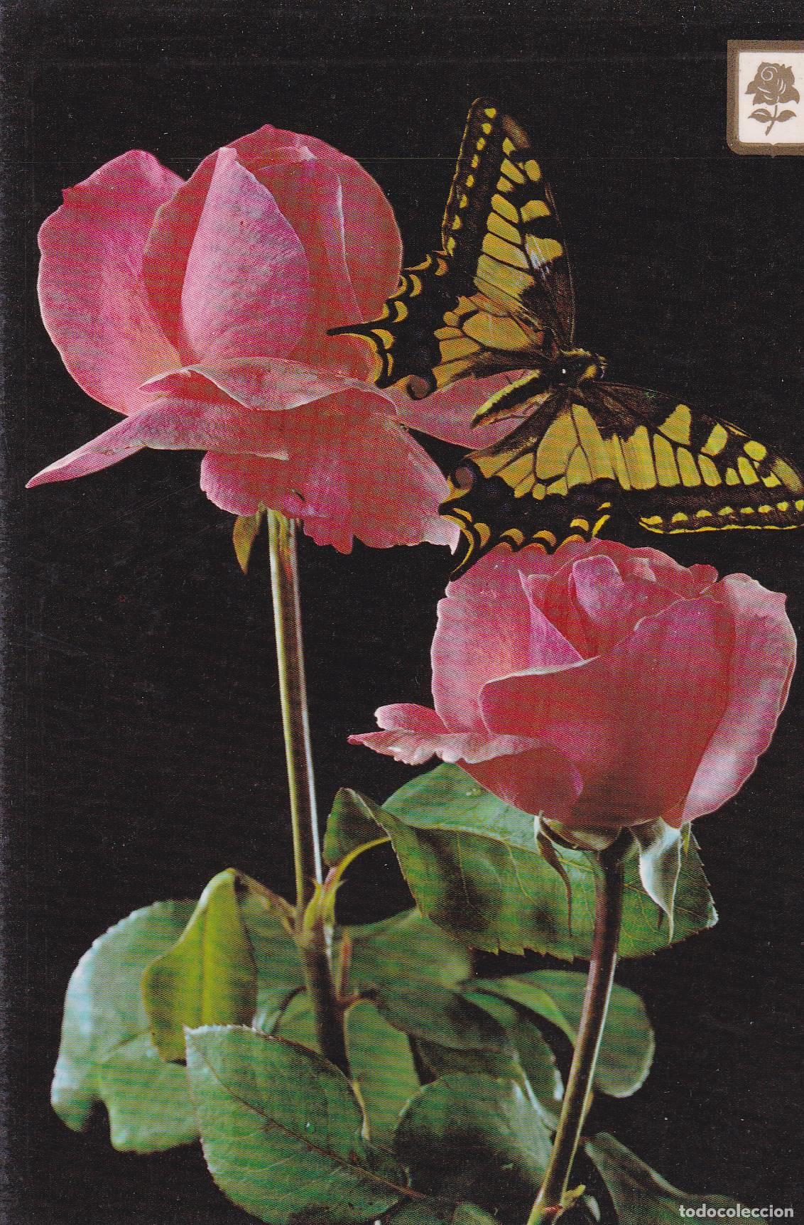 Postais: POSTAL B9625: ROSAS Y MARIPOSA. 2 - Varios