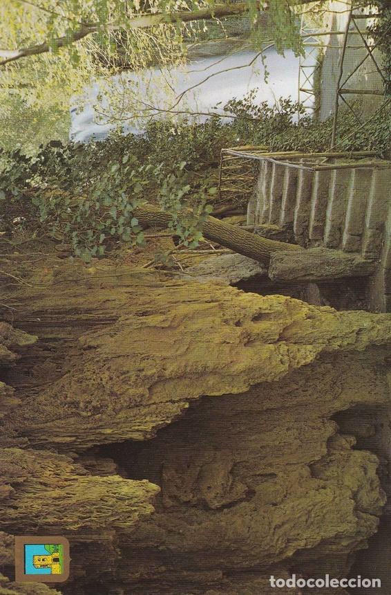 Postkarten: POSTAL B9784: ZARAGOZA: MONASTERIO DE PIEDRA - Varios