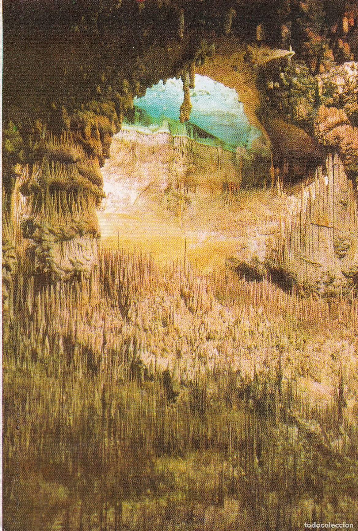 Postkarten: POSTAL B10643: MALLORCA: CUEVAS DEL DRACH - Varios