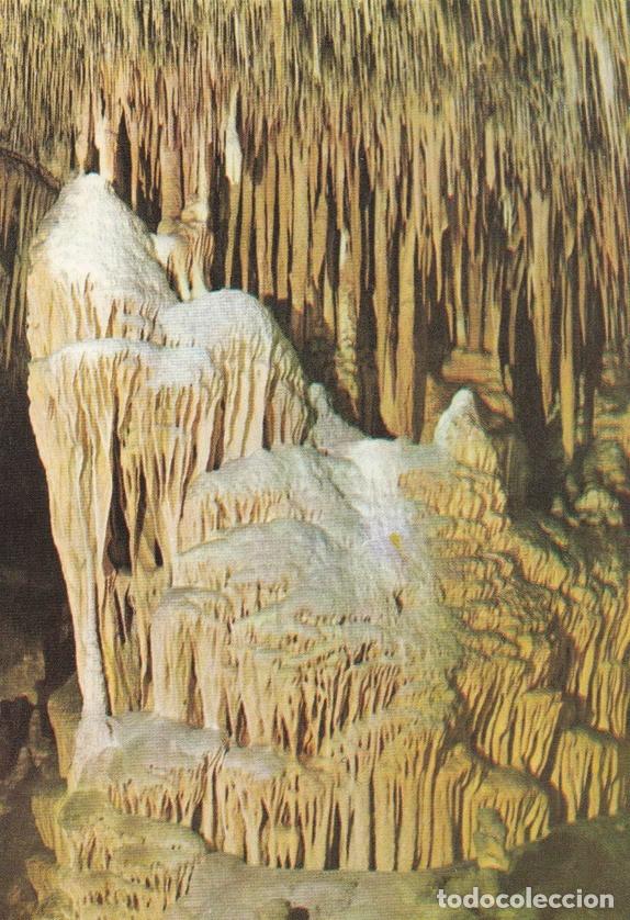 Postkarten: POSTAL B10637: MALLORCA: CUEVAS DEL DRACH - Varios