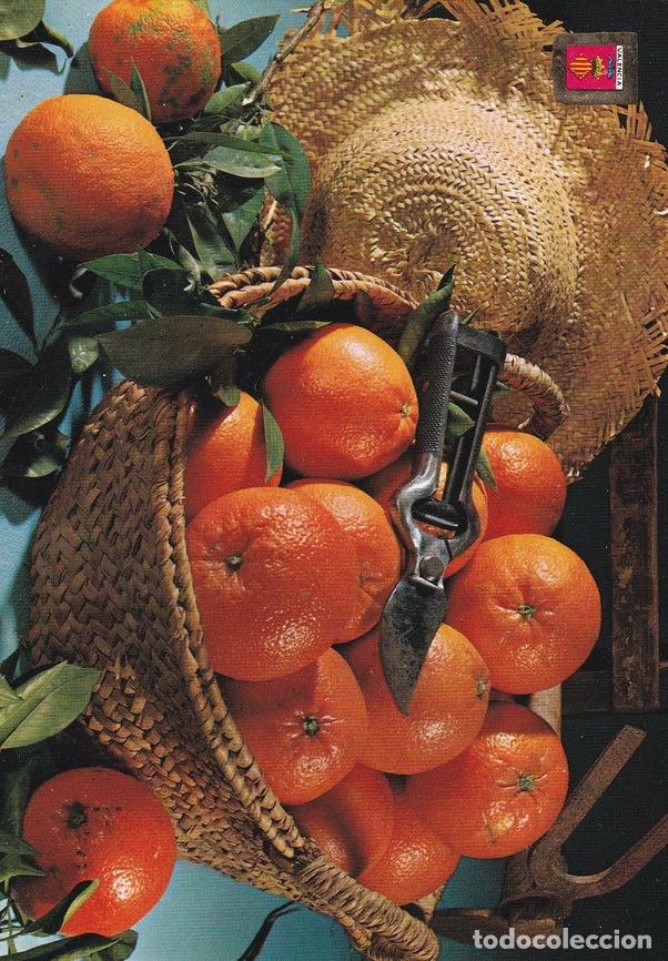 Postkarten: POSTAL B11189: VALENCIA: FRUTAS TIPICAS. NARANJAS - Varios
