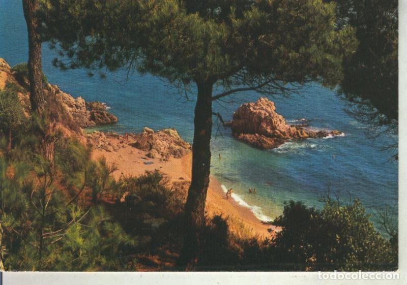 Postcards: Postal 012051: Roca Grossa en Calella, Barcelona - Varios