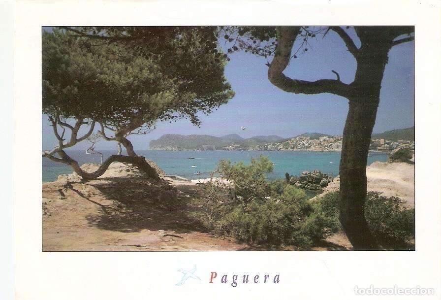 Postkarten: Postal 044334 : Paguera. Mallorca - Varios