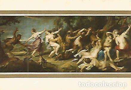 Cartoline: POSTAL 53260: RUBENS. Diana y sus ninfas sorprendidas por faunos - Varios
