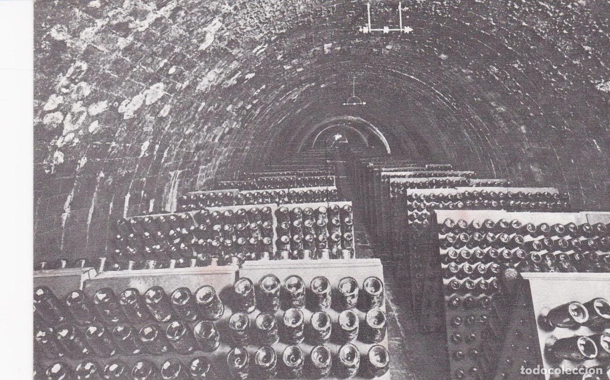 Postales: POSTAL B6239: CASA CODORNIU: BOTELLAS EN PUPITRES - Varios