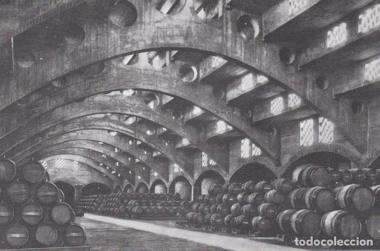 Postales: POSTAL B6244: CASA CODORNIU: UNA BODEGA - Varios