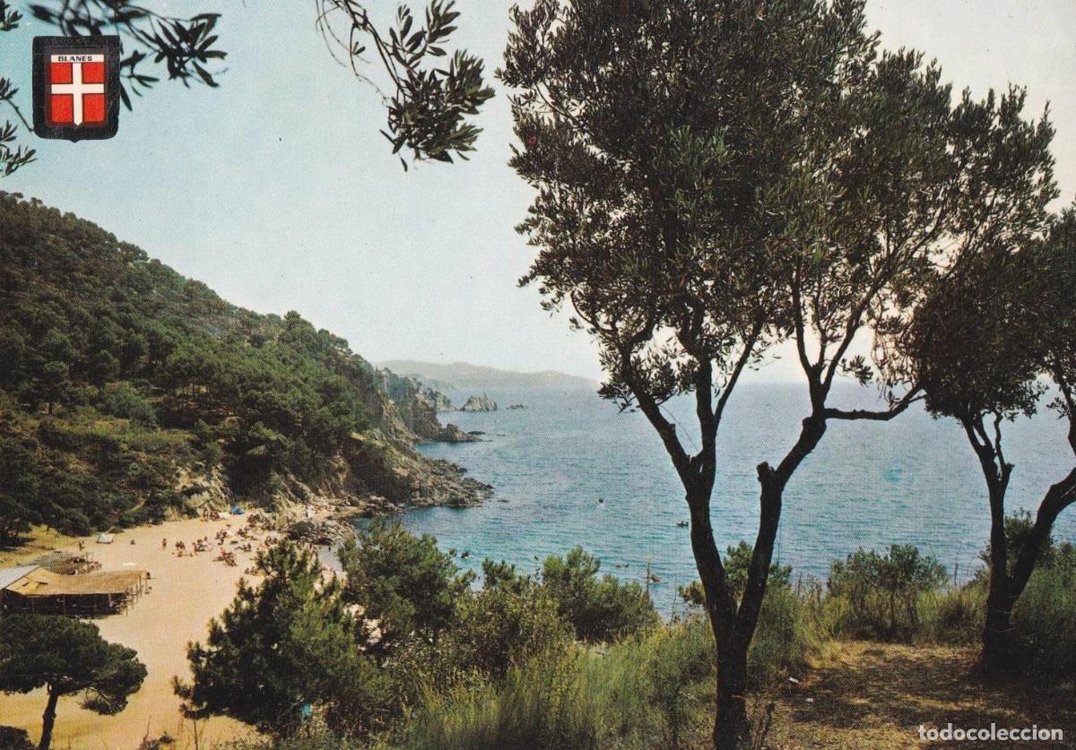Postales: POSTAL B12088: COSTA BRAVA. BLANES: CALA SAN FRANCISCO