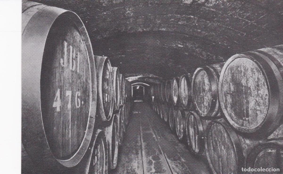 Postales: POSTAL B6238: CASA CODORNIU: VINOS DE CRIANZA - Varios