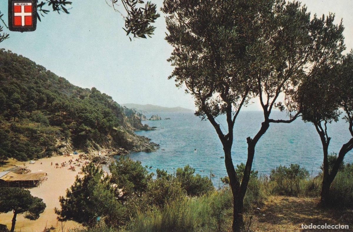 Postales: POSTAL B12089: COSTA BRAVA. BLANES: CALA SAN FRANCISCO - NULL