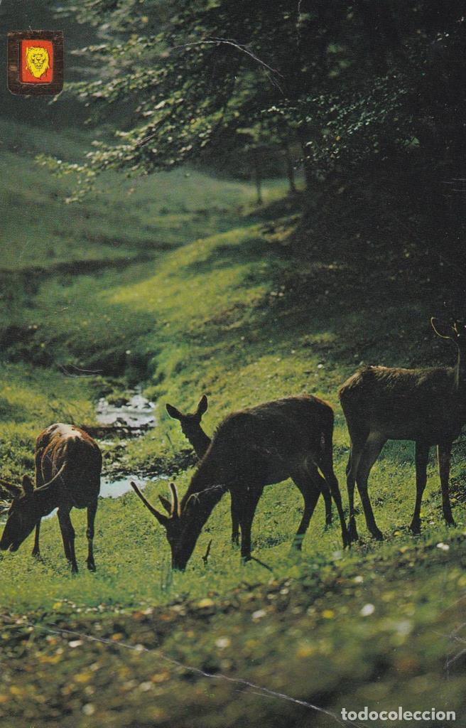 Postais: POSTAL B11888: PALENCIA: PUENTE MAYOR - NULL