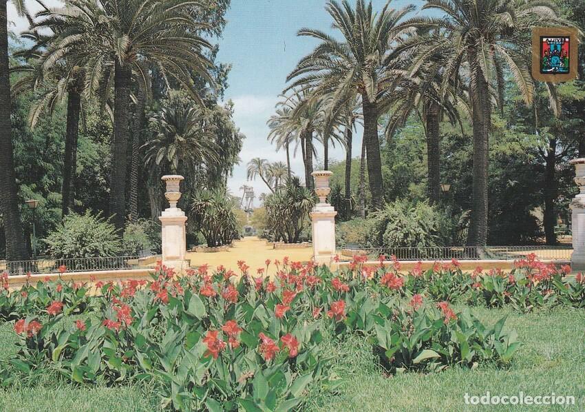 Postcards: POSTAL B6635: SEVILLA: JARDINES DE MURILLO - Varios