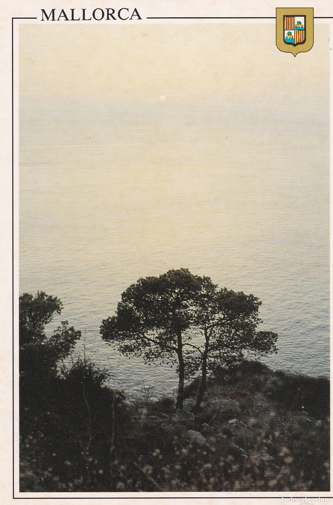 Postales: POSTAL B6720: MALLORCA: CALA - Varios - Foto 1