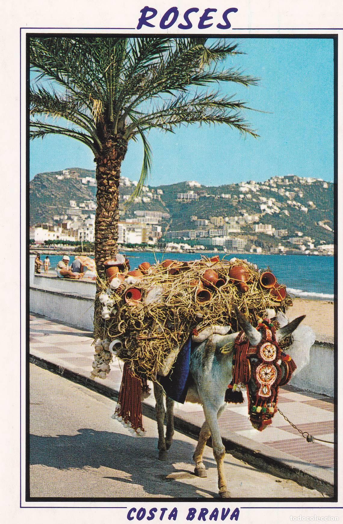 Postkarten: POSTAL B6734: ROSES: BURRO ALFARERO - Varios