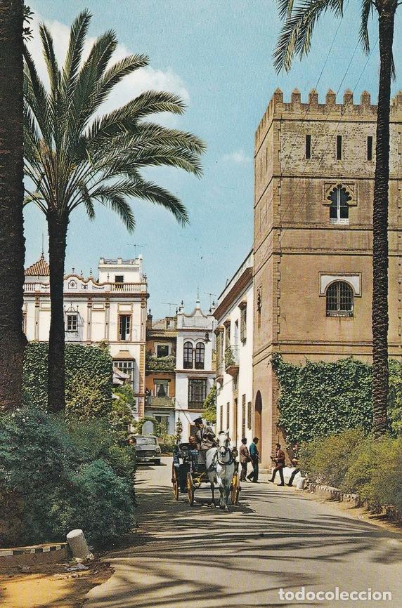 Cartoline: POSTAL B6824: SEVILLA: BARRIO DE LA SANTA CRUZ - Varios
