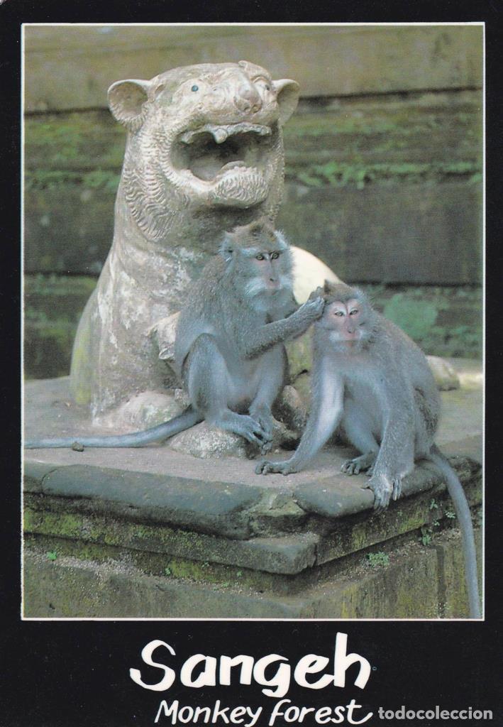 Postales: POSTAL B12999: BALI: BOSQUE DE LOS MONOS - Foto 1