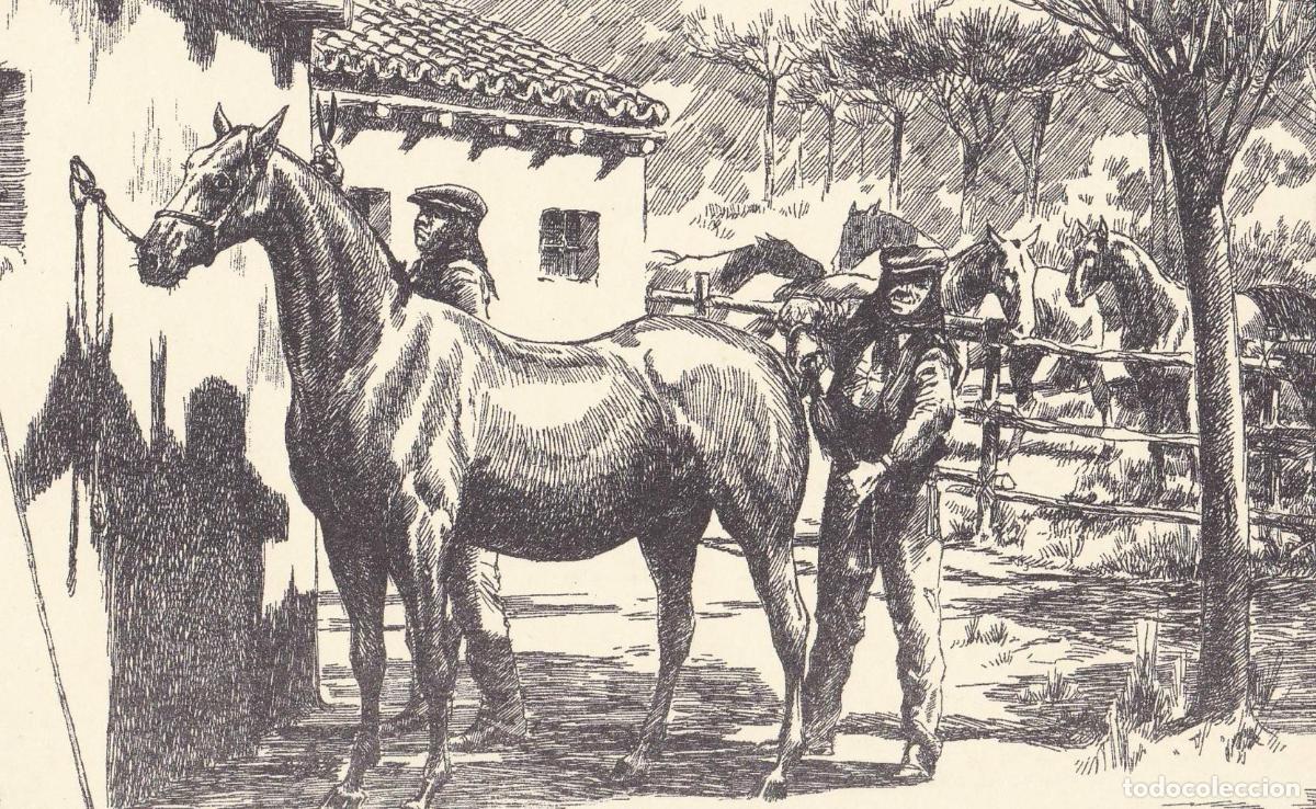 Postais: POSTAL B13015: RECUERDO ALMONTE - NULL