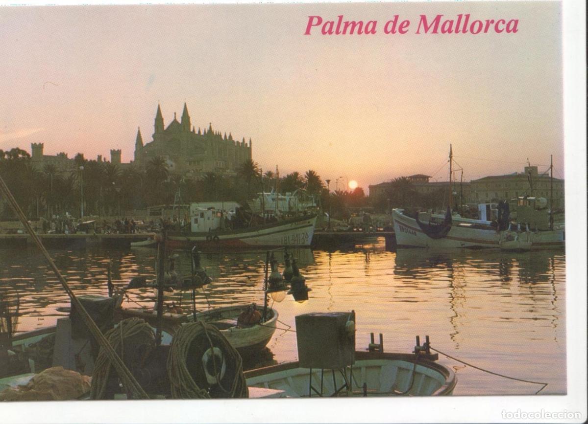 Postkarten: Postal JC0187: Mallorca (Baleares). Catedral - Varios