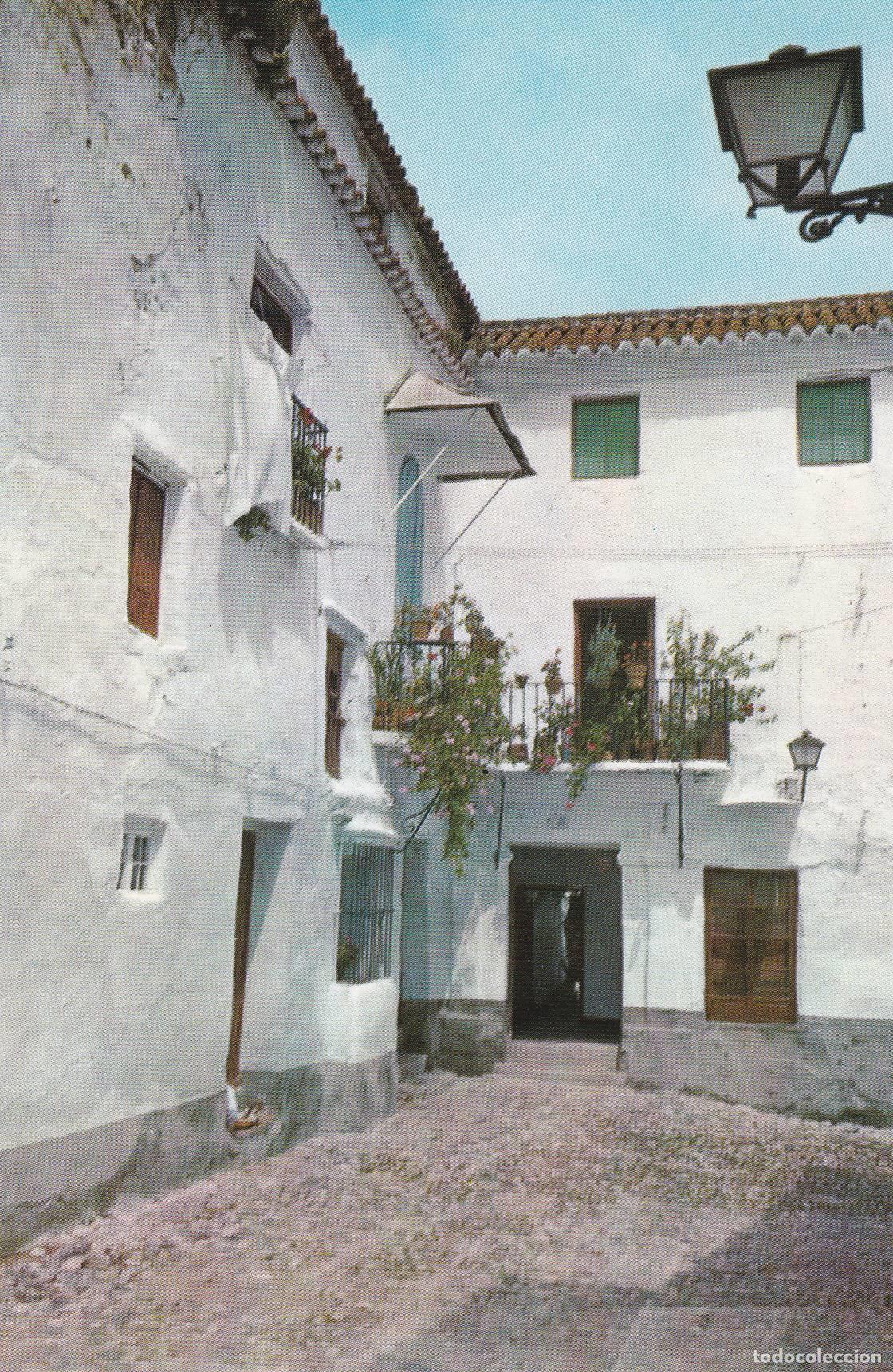 Postcards: POSTAL B7472: MALAGA: MARBELLA - Varios