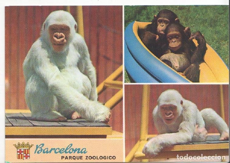 Postkarten: Postal JC0778: Barcelona. Parque Zoologico. Copito de Nieve - NULL