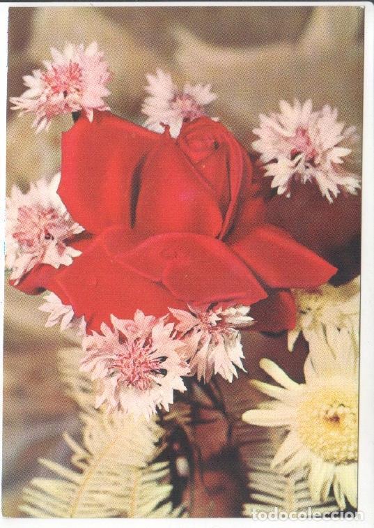 Cartes Postales: Postal JC0829: Rosa de color rojo con rocio - NULL