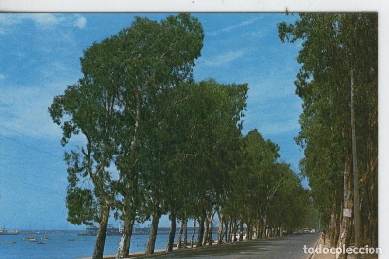 Postkarten: Postal 7191 : Huelva, Paseo de los Pinzonez - Varios