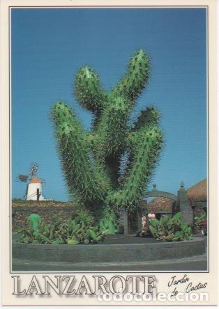 Postales: Postal E00077: Cactus, Lanzarote - Varios - Foto 1