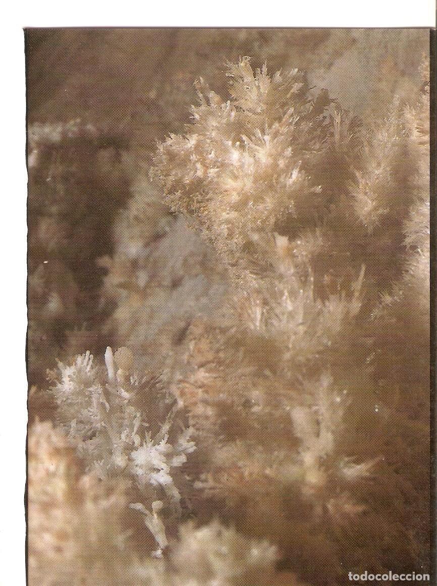 Cartes Postales: Postal 038608 : Gruta de las Maravillas Aracena (Huelva). Formacion excentrica - Varios