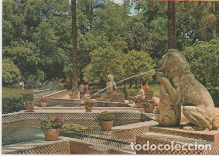 Cartes Postales: Postal E00718: Parque de Mar&iacute;a Luisa, Sevilla - Varios