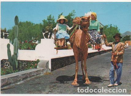 Postales: Postal E00561: Lanzarote - Varios - Foto 1
