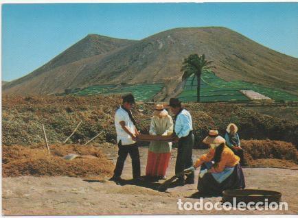 Postales: Postal e00565: Faena labranza, Lanzarote - Varios - Foto 1