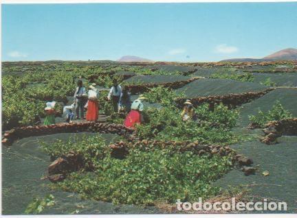 Postales: Postal E00592: La Geria, Lanzarote - Varios - Foto 1