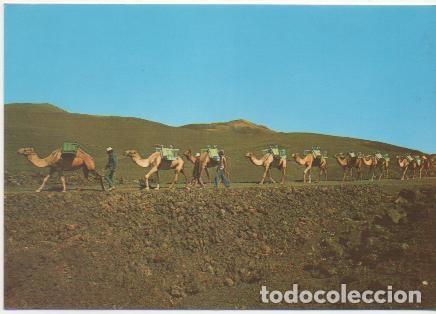 Cartes Postales: Postal E00583: Caravana, Lanzarote - Varios