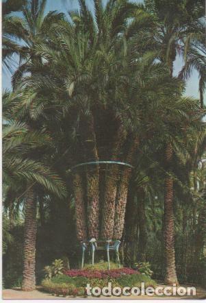 Postais: Postal E00904: Palmera principal, Huerto del Cura, Elche - Varios