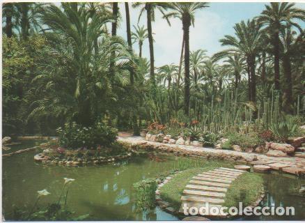 Postkarten: Postal E00496: Lago de la Rocalla, Elche - Varios