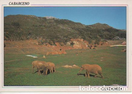 Cartoline: Postal E02342: Elefantes Africanos, Cabarceno, Cantabria - Varios