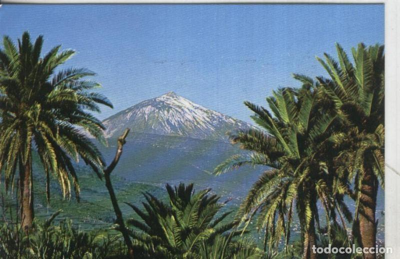 Postales: Postal: Tenerife: Teide - Varios